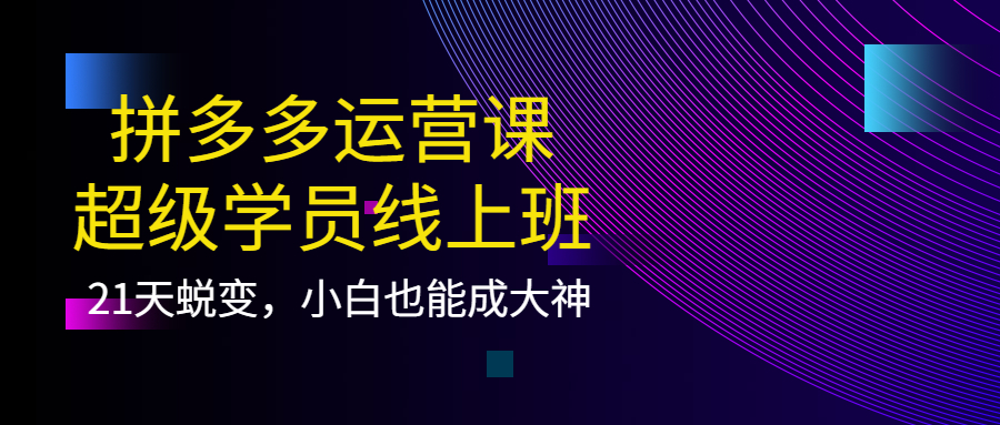拼多多运营课：超级学员线上班，21天蜕变，小白也能成大神副业联盟-网创项目资源站-副业项目-创业项目-搞钱项目副业联盟