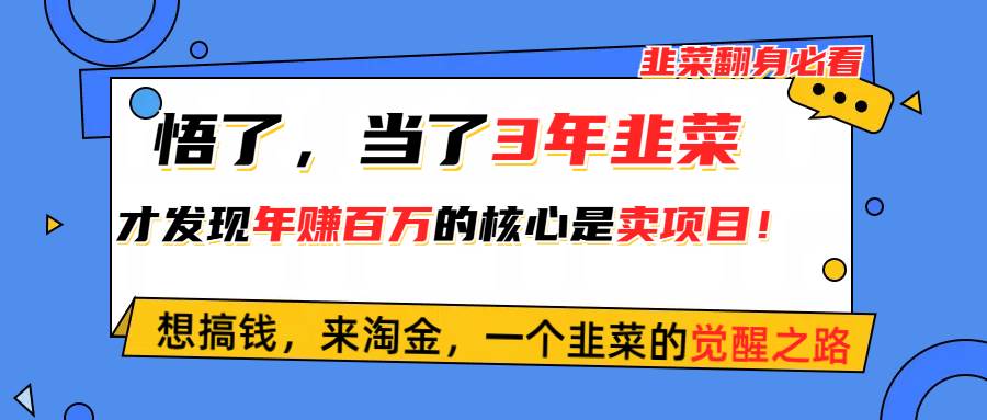 悟了，当了3年韭菜，才发现网赚圈年赚100万的核心是卖项目，含泪分享！副业联盟-网创项目资源站-副业项目-创业项目-搞钱项目副业联盟