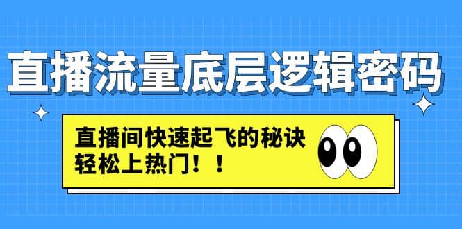 直播流量底层逻辑密码：直播间快速起飞的秘诀，轻松上热门副业联盟-网创项目资源站-副业项目-创业项目-搞钱项目副业联盟