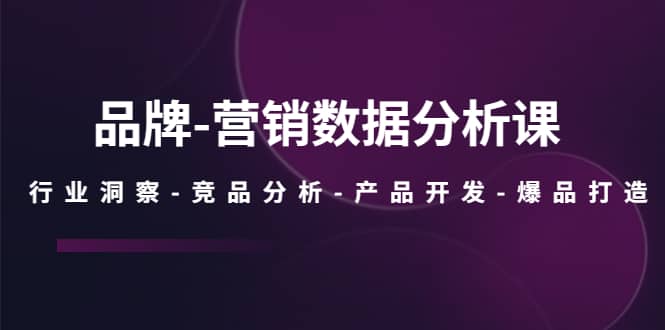品牌-营销数据分析课，行业洞察-竞品分析-产品开发-爆品打造副业联盟-网创项目资源站-副业项目-创业项目-搞钱项目副业联盟