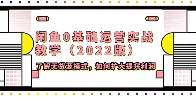 闲鱼0基础运营实战教学（2022版）了解无货源模式，如何扩大提升利润副业联盟-网创项目资源站-副业项目-创业项目-搞钱项目副业联盟