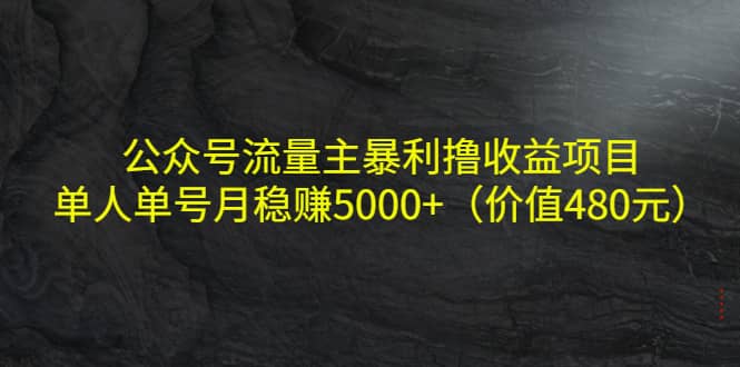 公众号流量主暴利撸收益项目，单人单号月稳赚5000+（价值480元）副业联盟-网创项目资源站-副业项目-创业项目-搞钱项目副业联盟