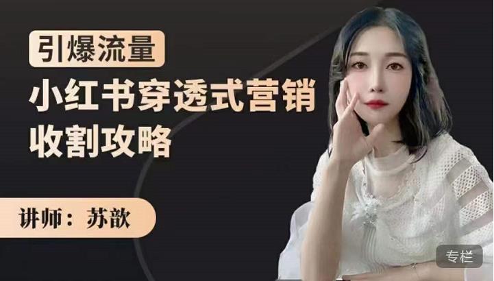小红书穿透式营销收割攻略，引爆流量，助你玩转小红书副业联盟-网创项目资源站-副业项目-创业项目-搞钱项目副业联盟