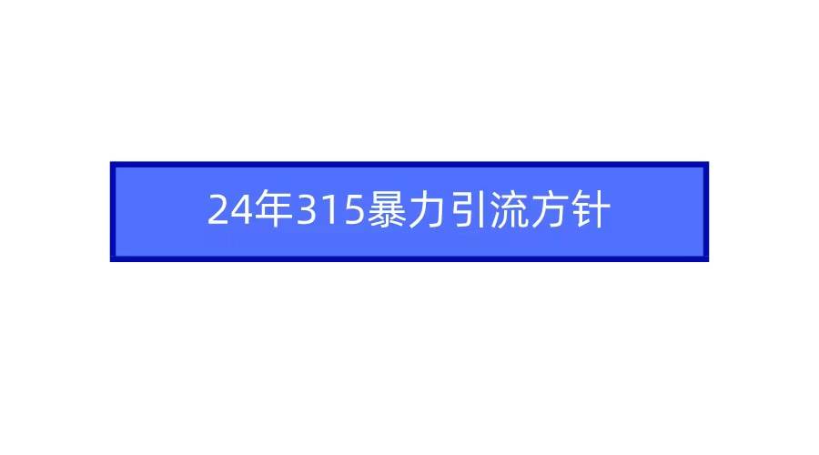 2024年315暴力引流方针副业联盟-网创项目资源站-副业项目-创业项目-搞钱项目副业联盟
