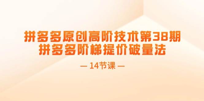 拼多多原创高阶技术第38期，拼多多阶梯提价破量法（14节课）副业联盟-网创项目资源站-副业项目-创业项目-搞钱项目副业联盟