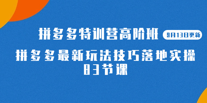 2023拼多多·特训营高阶班【9月13日更新】拼多多最新玩法技巧落地实操-83节副业联盟-网创项目资源站-副业项目-创业项目-搞钱项目副业联盟