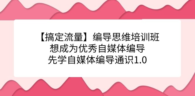 【搞定流量】编导思维培训班，想成为优秀自媒体编导先学自媒体编导通识1.0副业联盟-网创项目资源站-副业项目-创业项目-搞钱项目副业联盟
