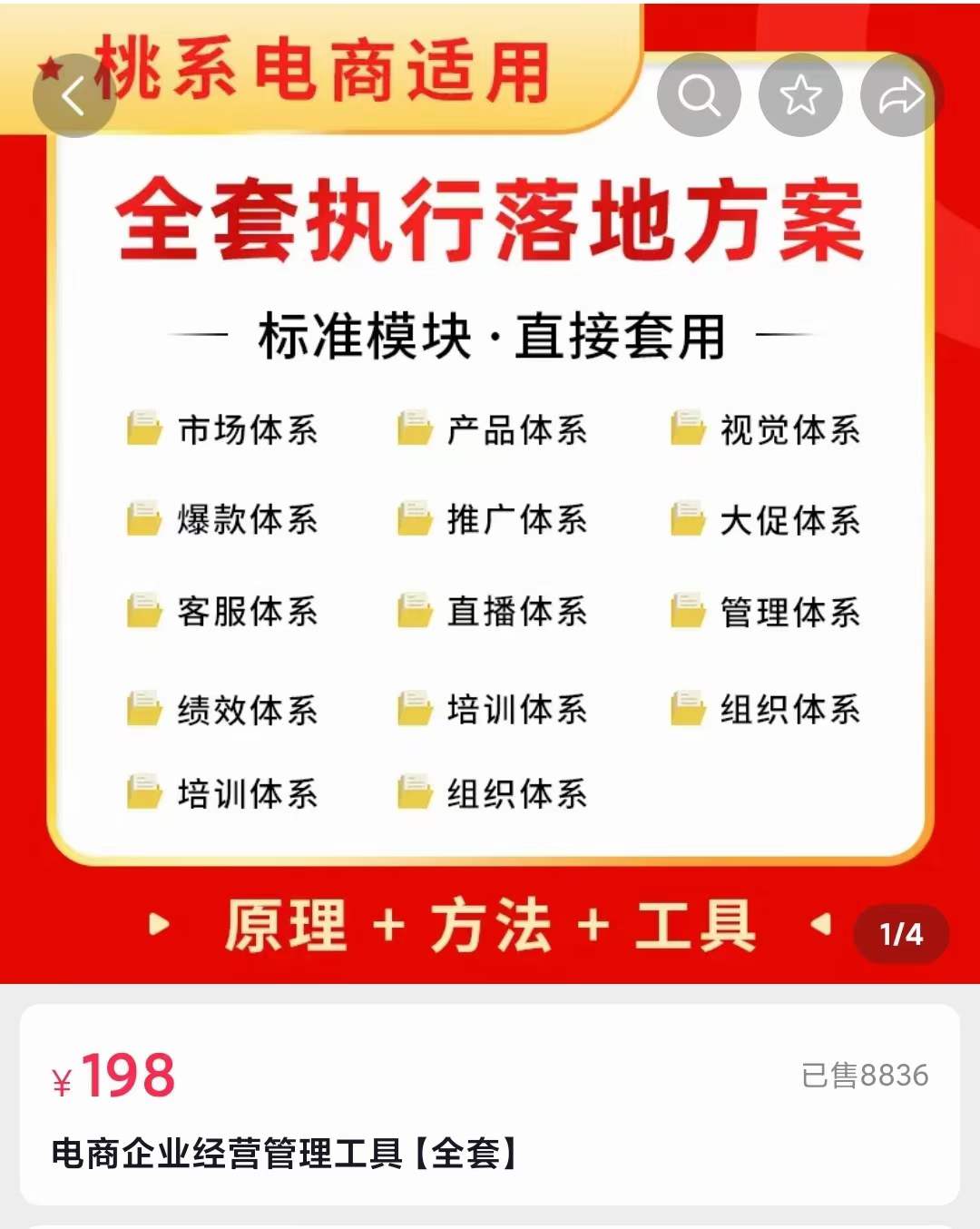 外面卖198·电商企业经营管理工具：全套执行落地方案 标准模块·直接套用副业联盟-网创项目资源站-副业项目-创业项目-搞钱项目副业联盟