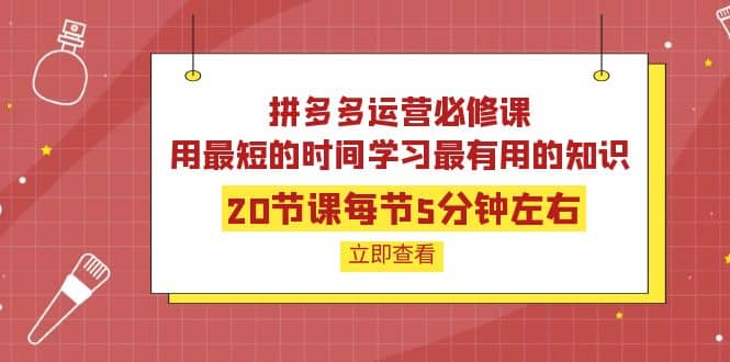 拼多多运营必修课：20节课每节5分钟左右，用最短的时间学习最有用的知识副业联盟-网创项目资源站-副业项目-创业项目-搞钱项目副业联盟