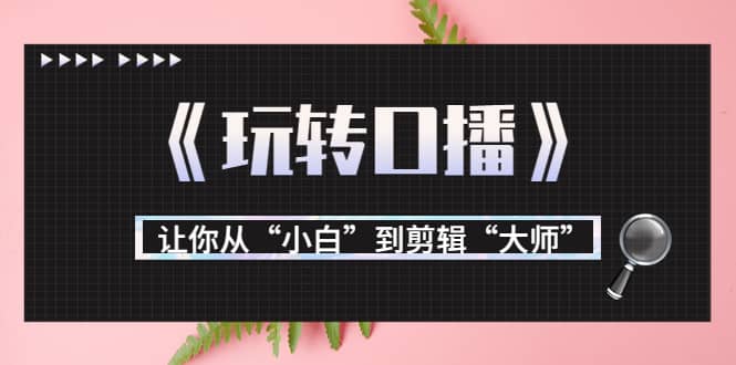 月营业额700万+大佬教您《玩转口播》让你从“小白”到剪辑“大师”副业联盟-网创项目资源站-副业项目-创业项目-搞钱项目副业联盟