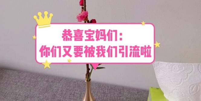 恭喜宝妈们：你们又要被我们引流了（教程+222g资料）副业联盟-网创项目资源站-副业项目-创业项目-搞钱项目副业联盟