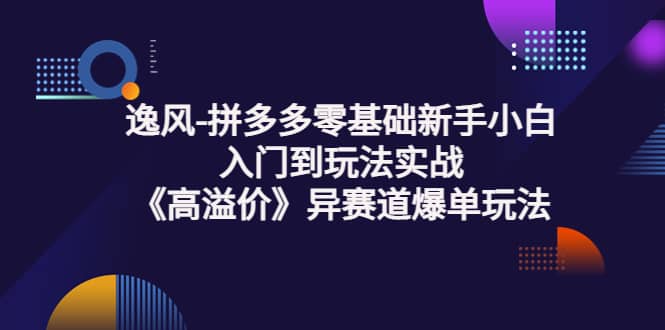拼多多零基础新手小白入门到玩法实战《高溢价》异赛道爆单玩法实操课副业联盟-网创项目资源站-副业项目-创业项目-搞钱项目副业联盟