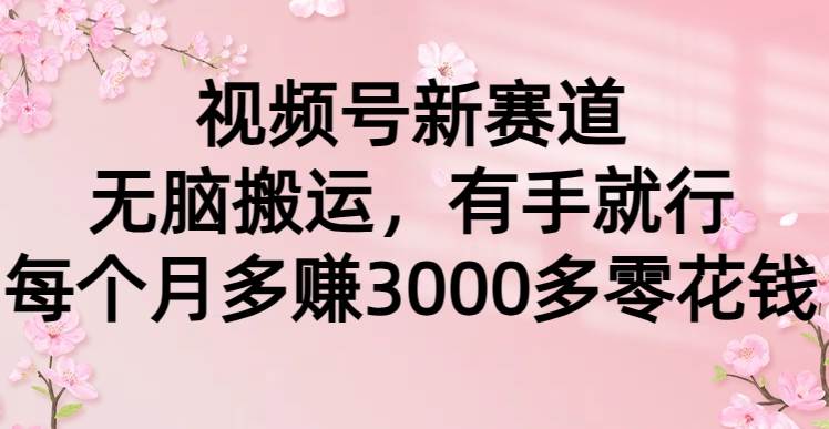 视频号新赛道，无脑搬运，有手就行，每个月多赚3000多零花钱副业联盟-网创项目资源站-副业项目-创业项目-搞钱项目副业联盟