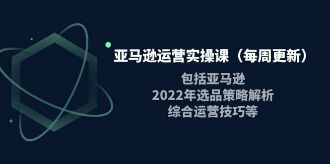 亚马逊运营实操课（每周更新）包括亚马逊2022选品策略解析，综合运营技巧等副业联盟-网创项目资源站-副业项目-创业项目-搞钱项目副业联盟