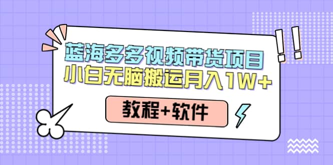 人人都能操作的蓝海多多视频带货项目 小白无脑搬运（教程+软件）副业联盟-网创项目资源站-副业项目-创业项目-搞钱项目副业联盟