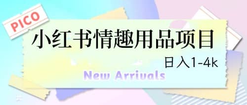 最新小红书情趣用品项目，日入1-4k副业联盟-网创项目资源站-副业项目-创业项目-搞钱项目副业联盟