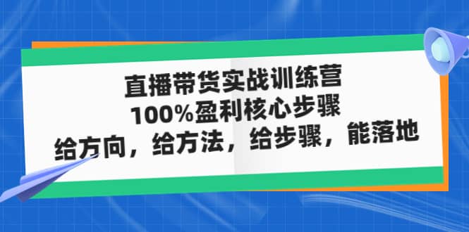 直播带货实战训练营：100%盈利核心步骤，给方向，给方法，给步骤，能落地副业联盟-网创项目资源站-副业项目-创业项目-搞钱项目副业联盟