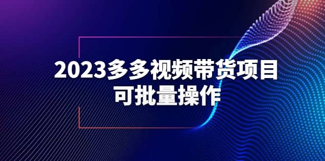 2023多多视频带货项目，可批量操作【保姆级教学】副业联盟-网创项目资源站-副业项目-创业项目-搞钱项目副业联盟