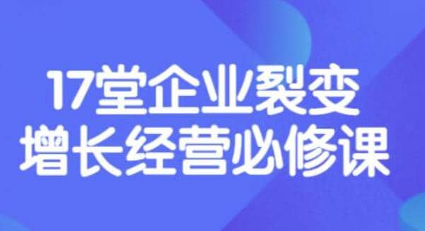 《盈利增长17堂必修课》企业裂变增长的经营智慧，带你了解增长的本质副业联盟-网创项目资源站-副业项目-创业项目-搞钱项目副业联盟