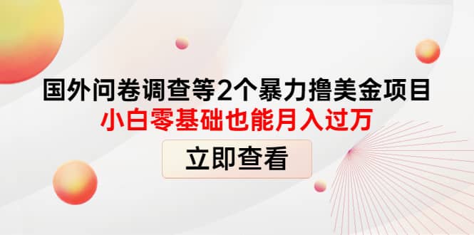 国外问卷调查等2个暴力撸美元项目，小白零基础也能月入过万副业联盟-网创项目资源站-副业项目-创业项目-搞钱项目副业联盟