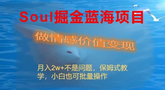 Soul掘金蓝海项目细分赛道，做情感价值变现，月入2w+不是问题副业联盟-网创项目资源站-副业项目-创业项目-搞钱项目副业联盟
