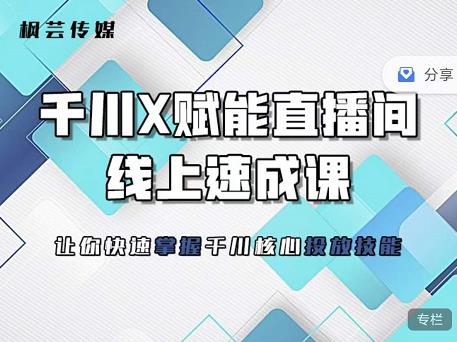枫芸传媒-线上千川提升课，提升千川认知，提升千川投放效果副业联盟-网创项目资源站-副业项目-创业项目-搞钱项目副业联盟