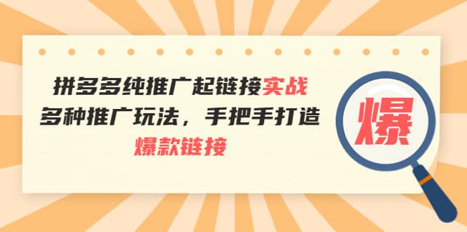 拼多多纯推广起链接实战：多种推广玩法，手把手打造爆款链接副业联盟-网创项目资源站-副业项目-创业项目-搞钱项目副业联盟