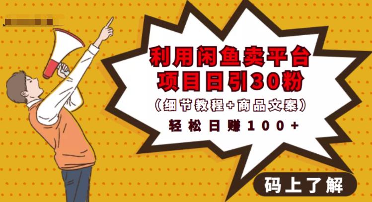 利用闲鱼卖平台项目课程资源日引流30+精准粉丝，轻松日赚100+，积累人脉可实现二次变现（细节教程+商品文案）副业联盟-网创项目资源站-副业项目-创业项目-搞钱项目副业联盟