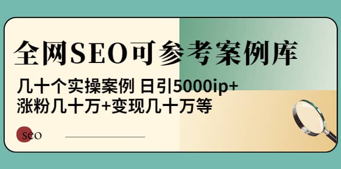 《全网SEO可参考案例库》几十个实操案例副业联盟-网创项目资源站-副业项目-创业项目-搞钱项目副业联盟