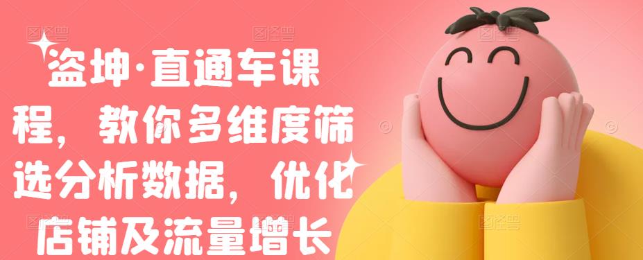 盗坤·直通车课程，教你多维度筛选分析数据，优化店铺及流量增长副业联盟-网创项目资源站-副业项目-创业项目-搞钱项目副业联盟