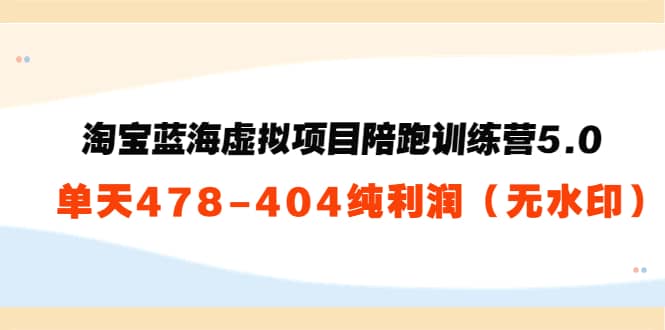 淘宝蓝海虚拟项目陪跑训练营5.0：单天478纯利润（无水印）副业联盟-网创项目资源站-副业项目-创业项目-搞钱项目副业联盟