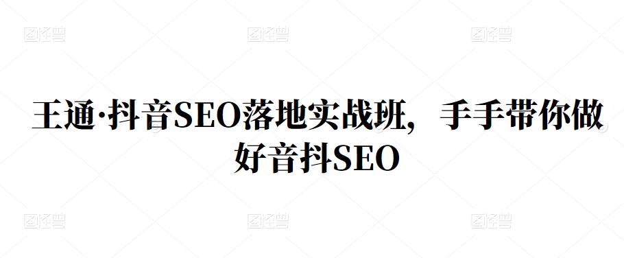 王通·抖音SEO落地实战班，手‬手带你做好音抖‬‬SEO副业联盟-网创项目资源站-副业项目-创业项目-搞钱项目副业联盟