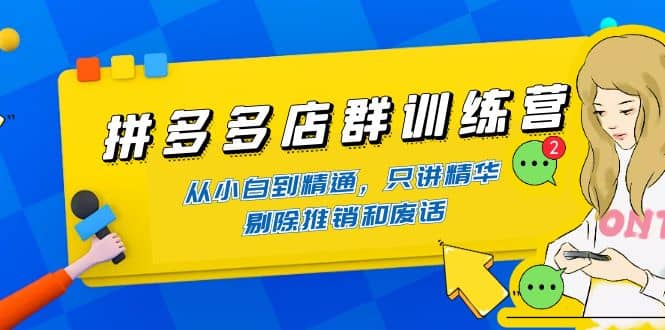 拼多多店群训练营：从小白到精通，只讲精华，剔除推销和废话副业联盟-网创项目资源站-副业项目-创业项目-搞钱项目副业联盟
