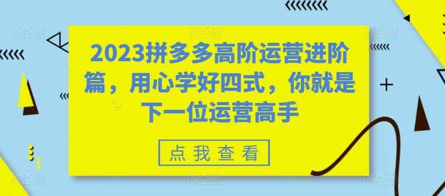 2023拼多多高阶运营进阶篇，用心学好四式，你就是下一位运营高手副业联盟-网创项目资源站-副业项目-创业项目-搞钱项目副业联盟