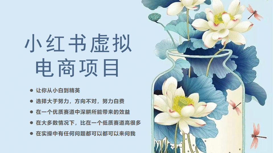小红书虚拟电商从0到1，让你从小白到精英（20节实操课程）副业联盟-网创项目资源站-副业项目-创业项目-搞钱项目副业联盟