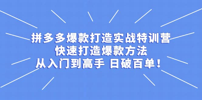 拼多多爆款打造实战特训营：快速打造爆款方法，从入门到高手 日破百单副业联盟-网创项目资源站-副业项目-创业项目-搞钱项目副业联盟
