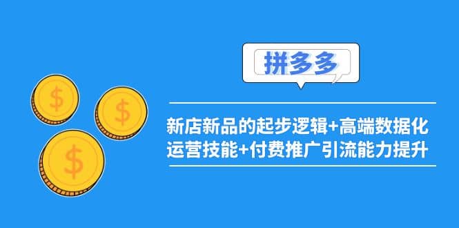 2022拼多多：新店新品的起步逻辑+高端数据化运营技能+付费推广引流能力提升副业联盟-网创项目资源站-副业项目-创业项目-搞钱项目副业联盟