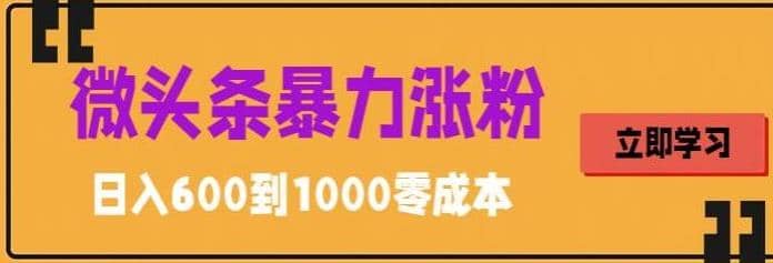 微头条暴力涨粉技巧搬运文案就能涨几万粉丝，简单0成本，日赚600副业联盟-网创项目资源站-副业项目-创业项目-搞钱项目副业联盟