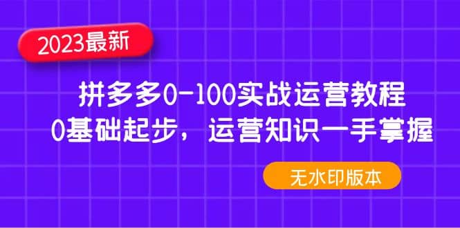 2023拼多多0-100实战运营教程，0基础起步，运营知识一手掌握（无水印）副业联盟-网创项目资源站-副业项目-创业项目-搞钱项目副业联盟