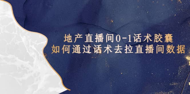 地产-直播间0-1话术胶囊，知道怎么通过话术去拉直播间数据副业联盟-网创项目资源站-副业项目-创业项目-搞钱项目副业联盟