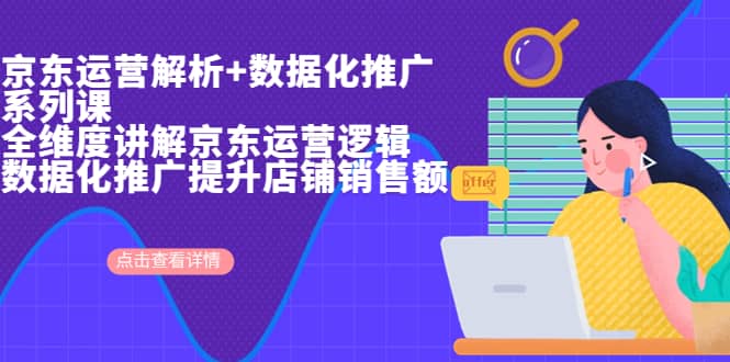 京东运营解析与数据化推广系列课，全维度讲解京东运营逻辑+数据化推广提升店铺销售额副业联盟-网创项目资源站-副业项目-创业项目-搞钱项目副业联盟