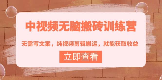 中视频无脑搬砖训练营：无需写文案，纯视频剪辑搬运，就能获取收益副业联盟-网创项目资源站-副业项目-创业项目-搞钱项目副业联盟