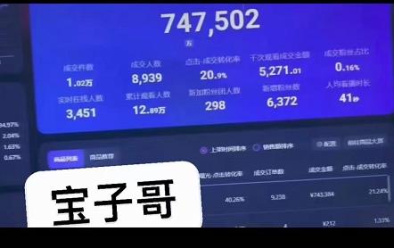 宝子哥无人直播，半无人直播，Obs+伴侣玩法，快速打标签+养鱼副业联盟-网创项目资源站-副业项目-创业项目-搞钱项目副业联盟