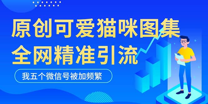 黑科技纯原创可爱猫咪图片，全网精准引流，实操5个VX号被加频繁副业联盟-网创项目资源站-副业项目-创业项目-搞钱项目副业联盟