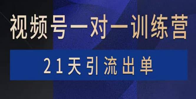 视频号训练营：带货，涨粉，直播，游戏，四大变现新方向，21天引流出单副业联盟-网创项目资源站-副业项目-创业项目-搞钱项目副业联盟