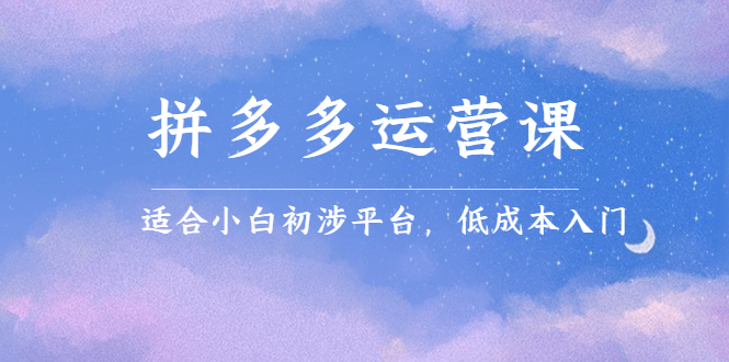 拼多多运营课，适合小白初涉平台，低成本入门副业联盟-网创项目资源站-副业项目-创业项目-搞钱项目副业联盟