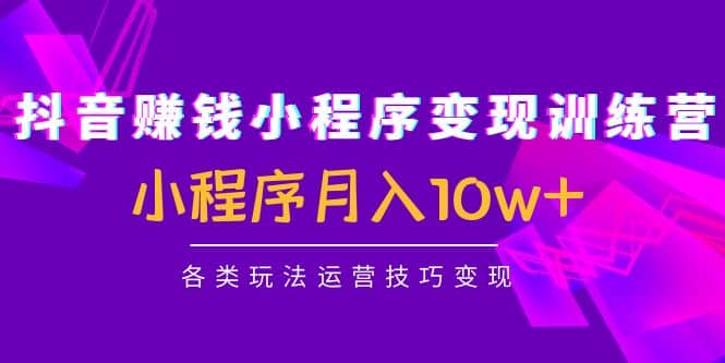 抖音小程序变现训练营：小程序各类玩法运营技巧变现副业联盟-网创项目资源站-副业项目-创业项目-搞钱项目副业联盟