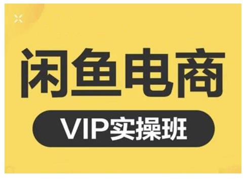 闲鱼电商零基础入门到进阶VIP实战课程，帮助你掌握闲鱼电商所需的各项技能副业联盟-网创项目资源站-副业项目-创业项目-搞钱项目副业联盟