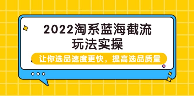 2022淘系蓝海截流玩法实操：让你选品速度更快，提高选品质量（价值599）副业联盟-网创项目资源站-副业项目-创业项目-搞钱项目副业联盟