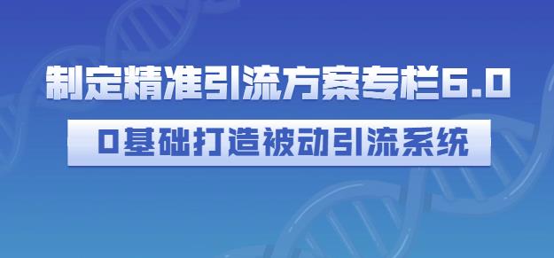 制定精准引流方案专栏6.0，0基础打造被动引流系统副业联盟-网创项目资源站-副业项目-创业项目-搞钱项目副业联盟